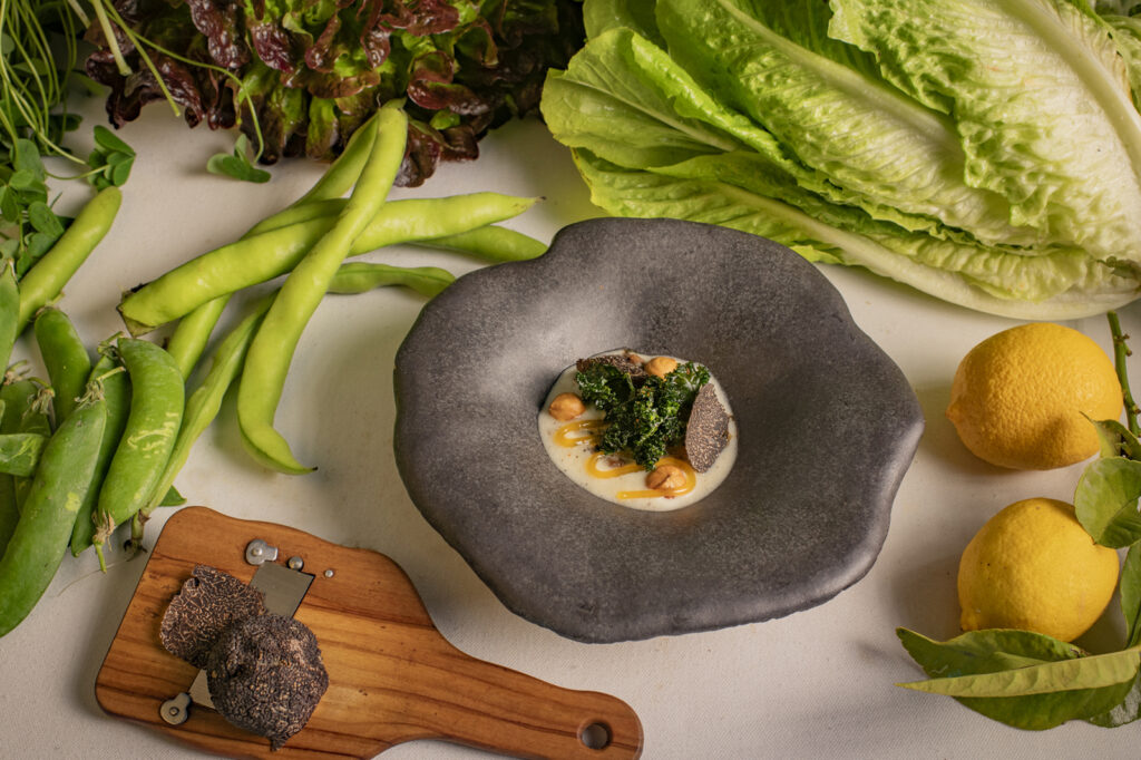 Estofado de setas silvestres y cultivadas, salsa ahumada de mantequilla de cabra murciano- granadina, yema cuajada y col kale picante